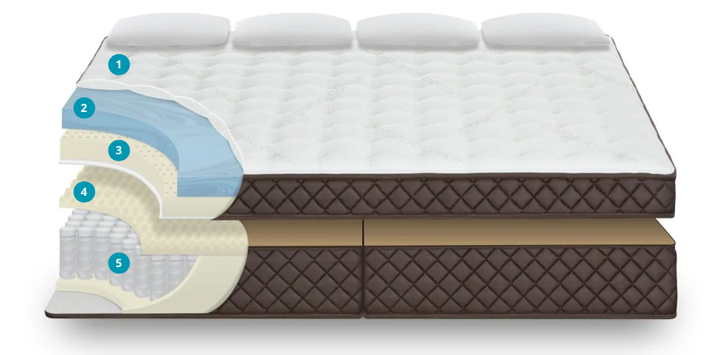 Numbered Oversized Mattress Cutaway