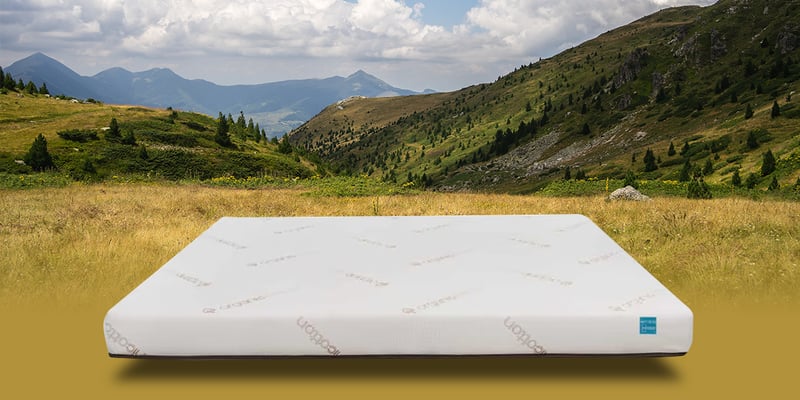 Image of sedan/car mattress