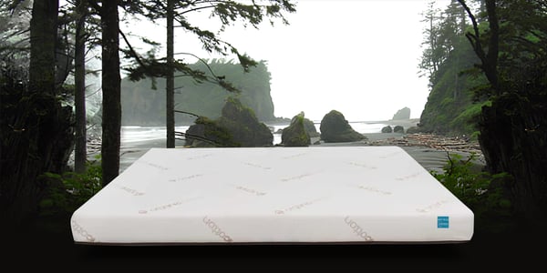 Image of SUV mattress