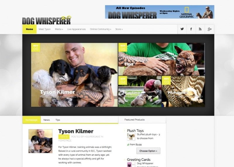 Dog Whisperer 2.0 Website Screenshot