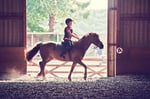 Image for Theft delays Sunrise’s horse therapy services 