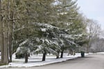 Image for Bundle up tonight; winter weather could make it mighty cold around Richmond