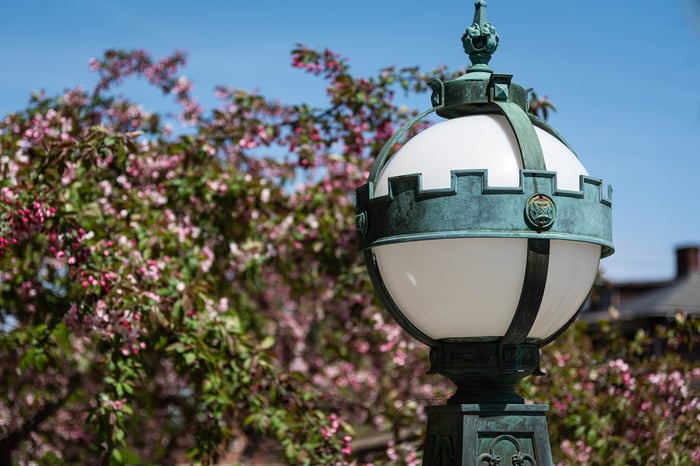 Image for Light Detail and Crabapple Blossoms