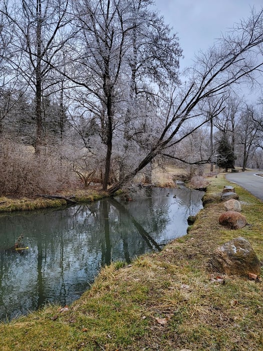 Image for Frozen Friends: Glen Miller Park