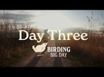Image for Birding Big Day | Morning of Day 3