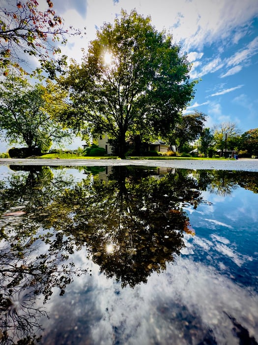 Image for Rainy Reflection