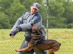 Image for May 16 events honor Seara’s fitness, K-9 loves