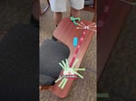 Image for Day 1 in Intro to Neuroscience #stem #stemlearning #handsonlearning #science