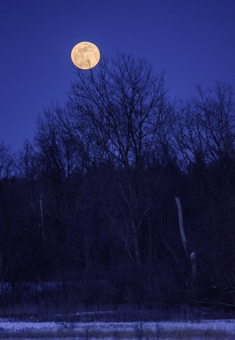 Image for Snow Moon