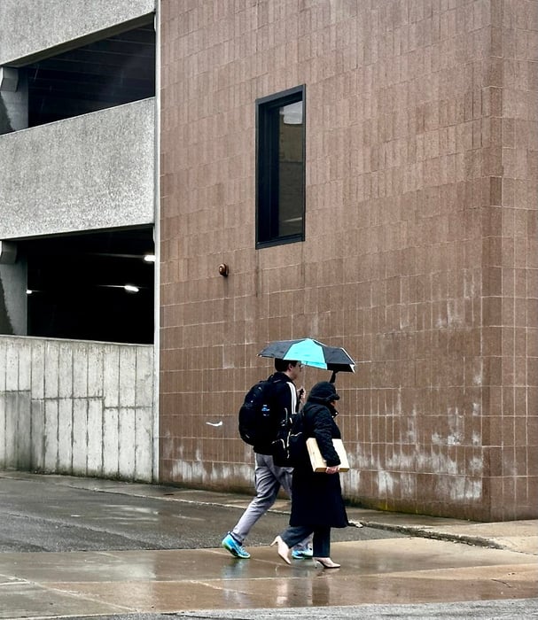 Image for Downtown Rain