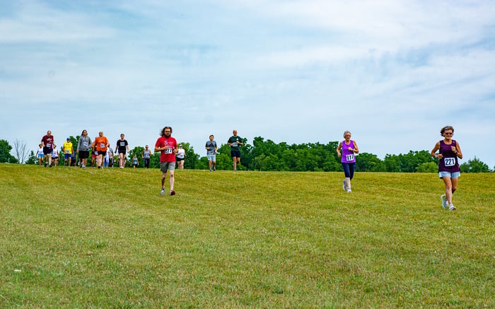 Image for Run With the Wolves
