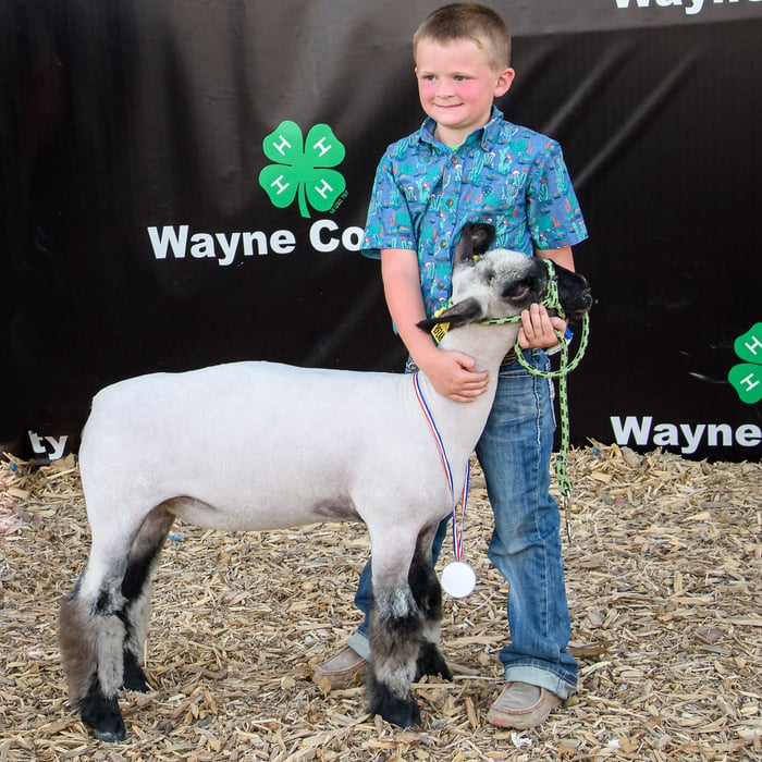 Image for Wayne County 4-H Fair 2022