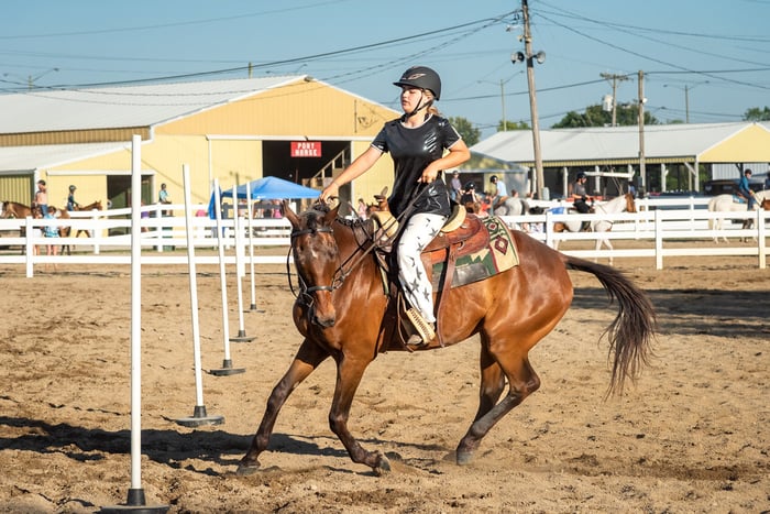 Image for Wayne County 4-H Fair 2022