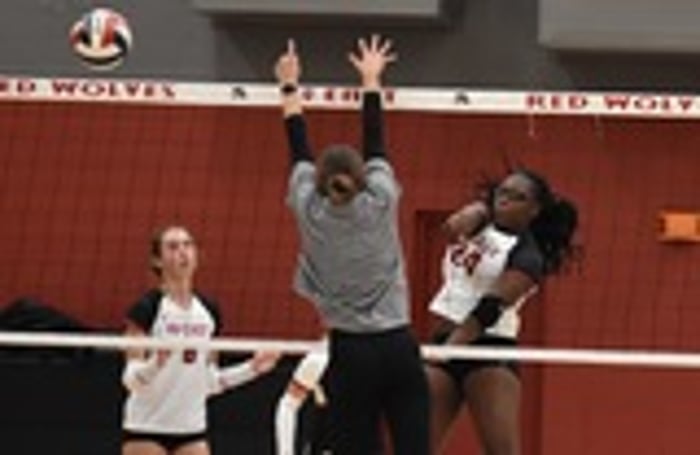 Image for Red Wolves Take Two to Finish Mount Vernon Tournament