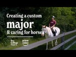 Image for Creating a custom major & caring for horses