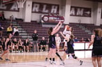 Image for WBB stung by Yellow Jackets