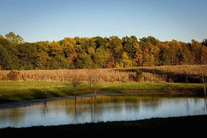 Image for Fall Reflection