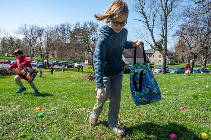 Image for Egg Hunt for Easter