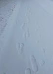 Image for Richmond snow storm: Latest school and event cancellations