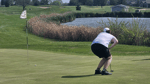 Image for Women's golf battles at Franklin Invite