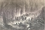 Image for Out of Our Past: Civil War officer from Wayne County fought back against charge of desertion