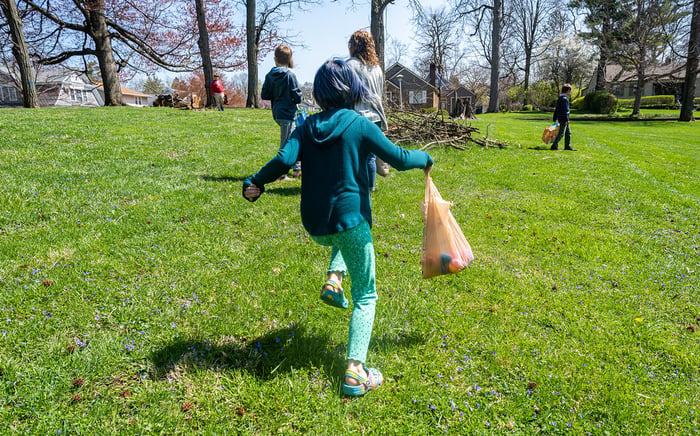 Image for Egg Hunt for Easter