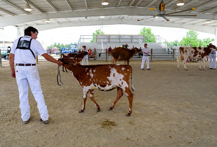 Image for Wayne County Fair
