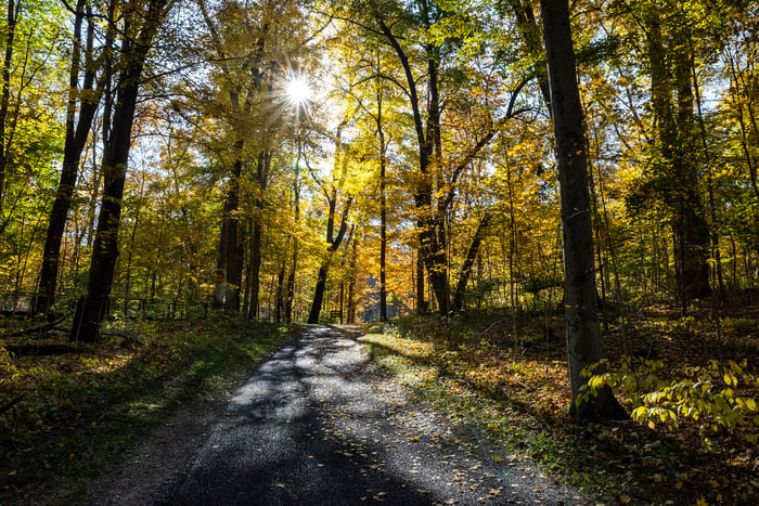 Image for Fall at Hayes Arboretum