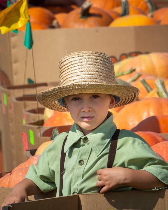 Image for Boy and Pumpkins