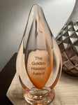 Image for Nominate a great senior volunteer for the LifeStream Golden Hoosier Award