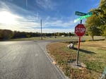 Image for Williamsburg Youth League asks county for help protecting ballfields, players