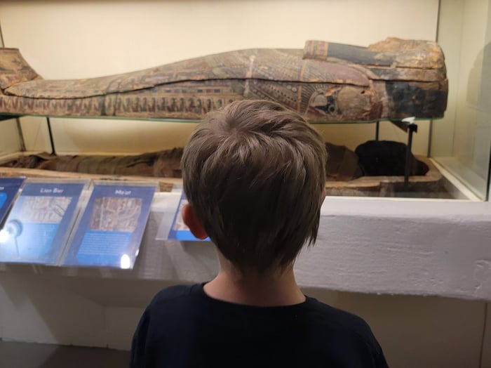 Image for Joseph Moore Museum