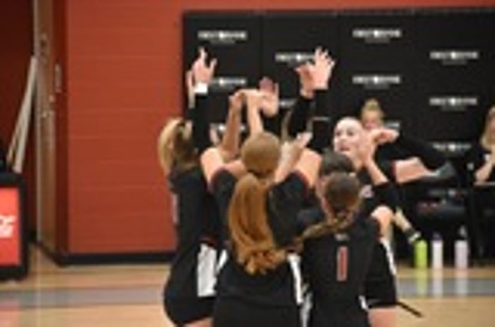 Image for Trio Earns AVCA Awards