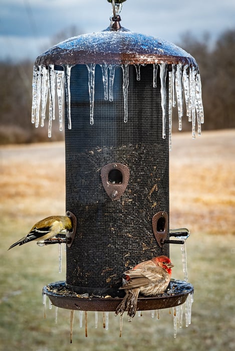 Image for Chilly Restaurant