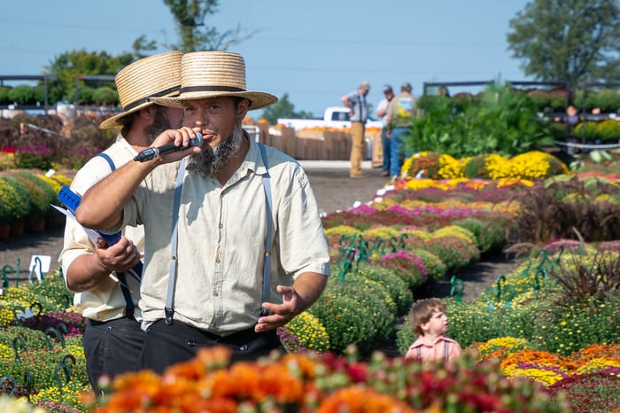 Image for Amish Auctioneer