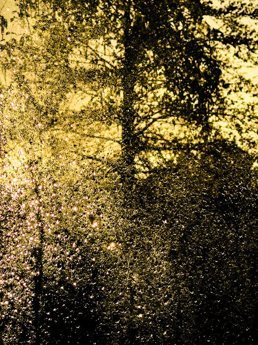 Image for Lightdrops