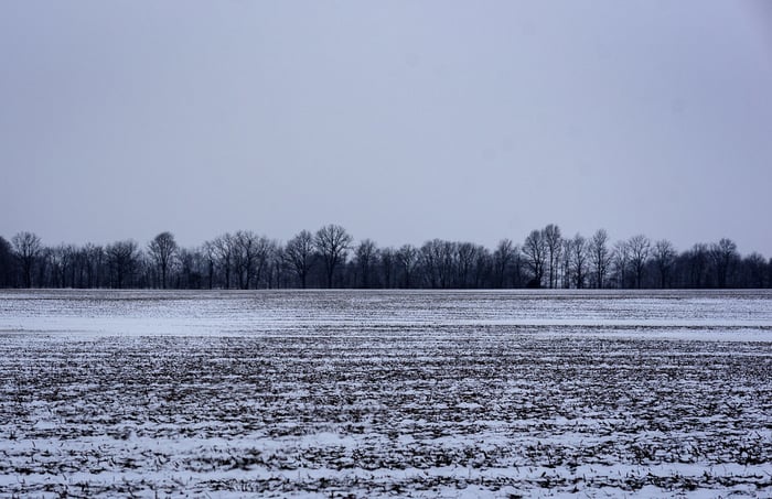 Image for Winter Weary