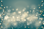 Image for Holiday aid programs seek participants, donors