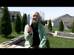Image for How to make a lasagna garden