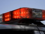 Image for Wayne County man charged in dog's beating