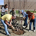 Image for IU East receives its fourth Tree Campus USA® Recognition