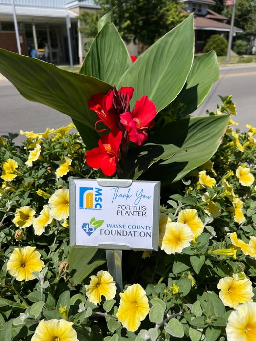 Image for Thank you, Wayne County Foundation!