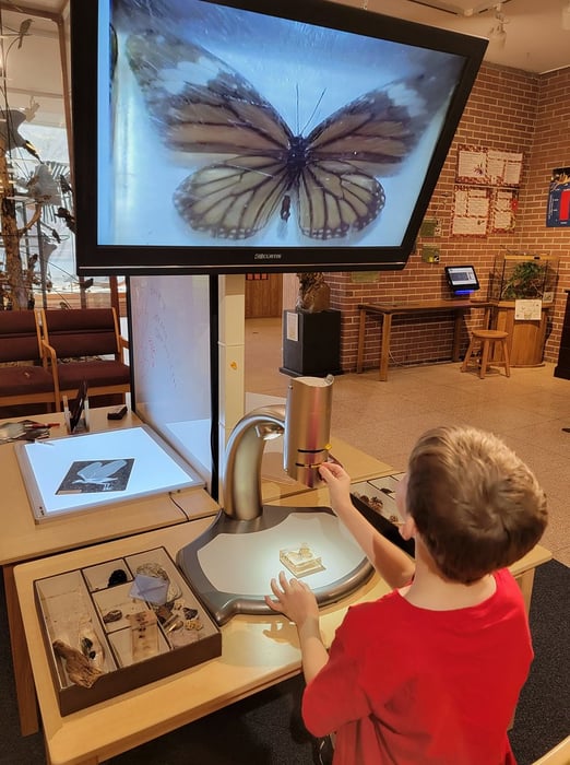 Image for Joseph Moore Museum