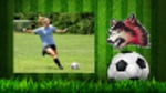 Image for [Women's Soccer] Women's Soccer signee: Kylie Bunker from Bellbrook, Ohio