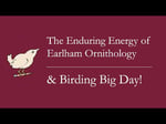 Image for The Legacy of Birding Big Day at Earlham | 2025 Recap