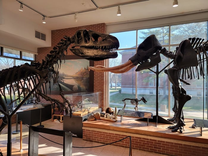 Image for Joseph Moore Museum
