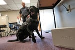 Image for Wayne County's COVID cases fall 23.9%; Indiana cases up 5.2%