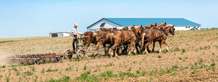 Image for Spring Cultivating