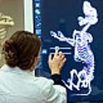 Image for IU East brings 3D anatomy and physiology learning technology to the classroom