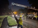 Image for Crews working in Oak Park to replace a broken pole. 